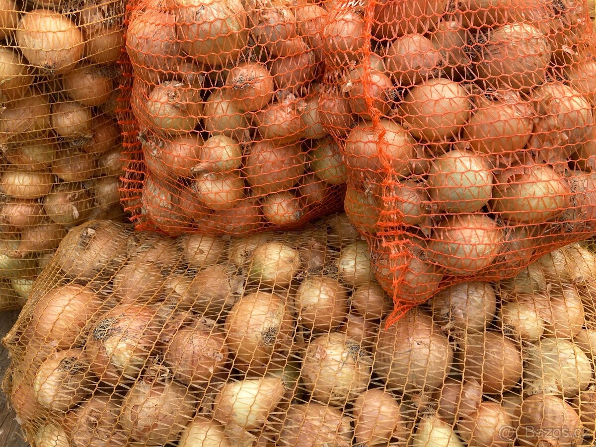 Přebytek cibule 6 kč/kg