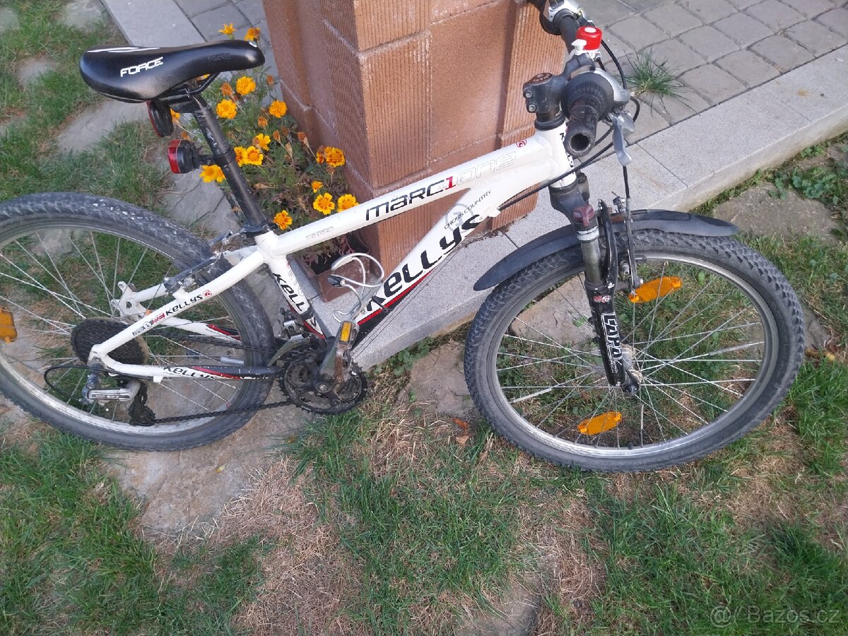 Kolo 24"