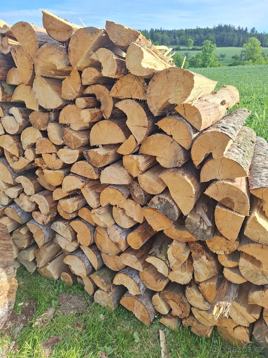 Palivové dřevo