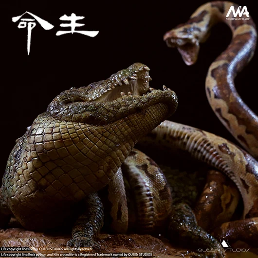 Queen Studios - Rock Python and Nile Crocodile