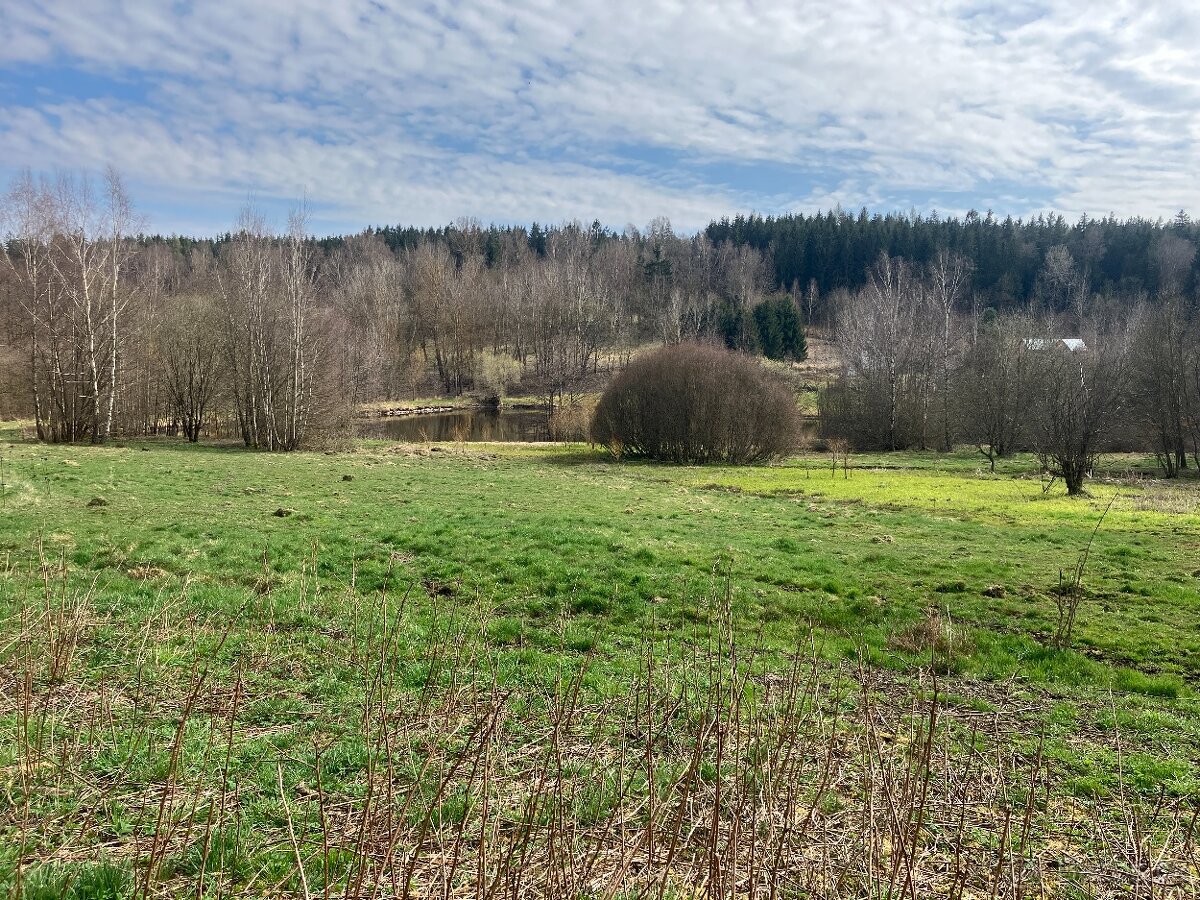 Ustájení - hřebec, valach