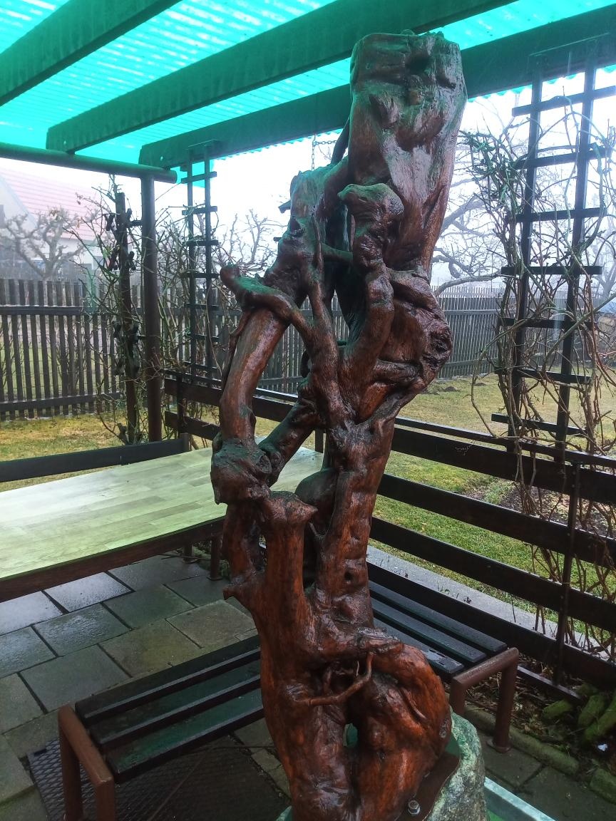 přírodní skulptura "socha"