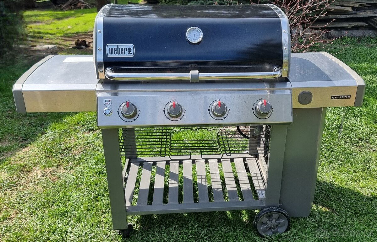 Gril Weber Genesis II