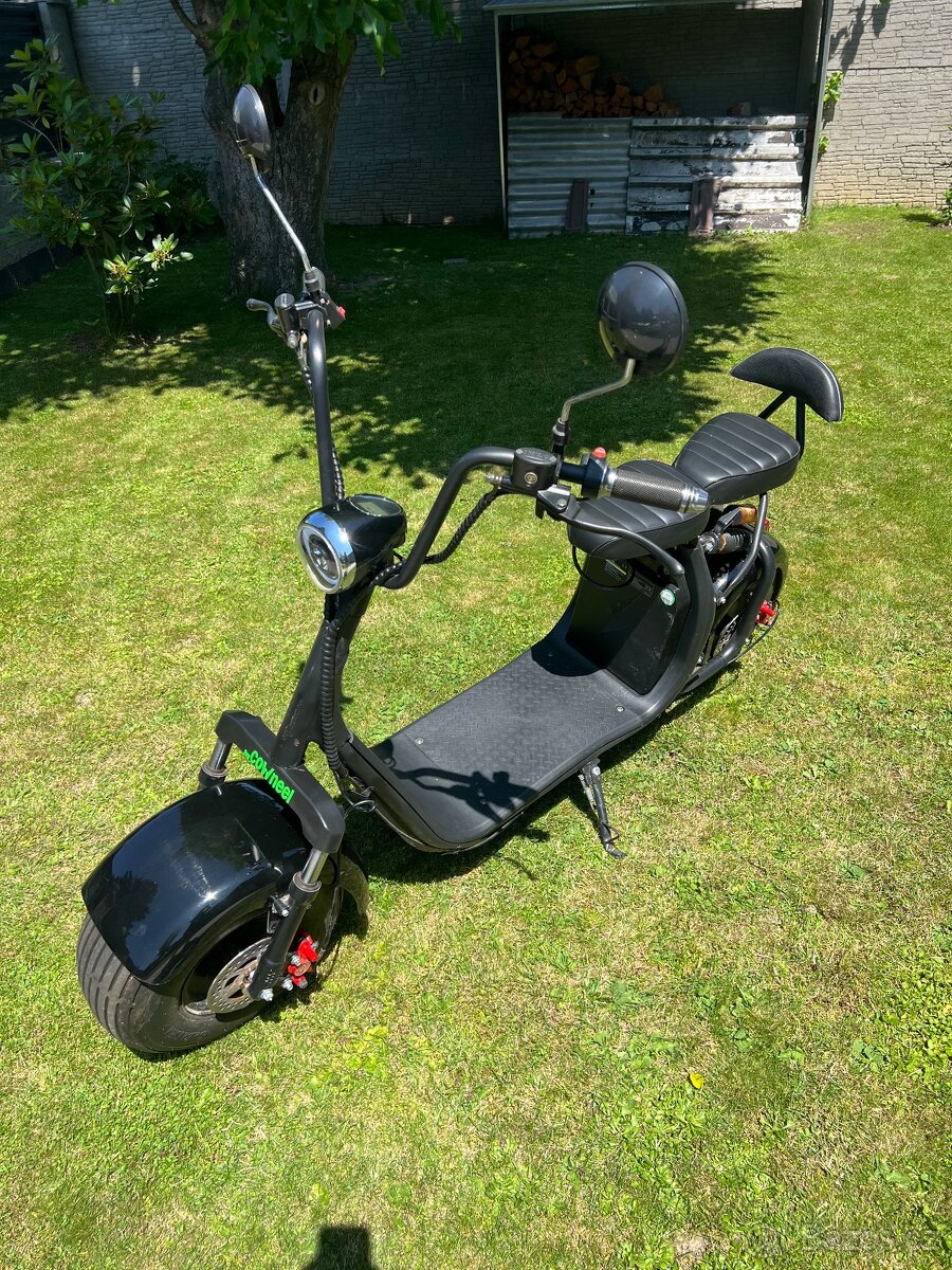 EcoWheel E-chopper