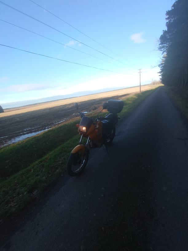 jawa dandy 125