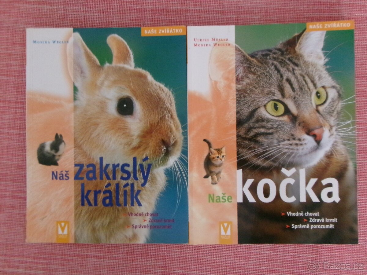 Náš zakrslý králík + Naše kočka.