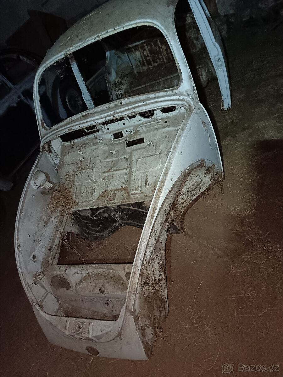 VW Brouk
