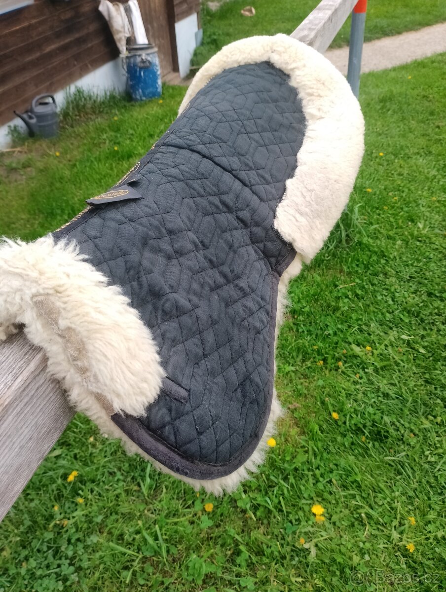 Pravý beránek pod sedlo