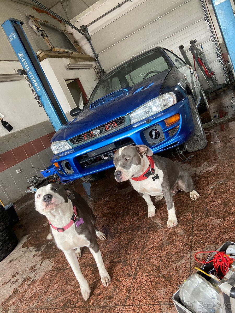 Koupím Subaru