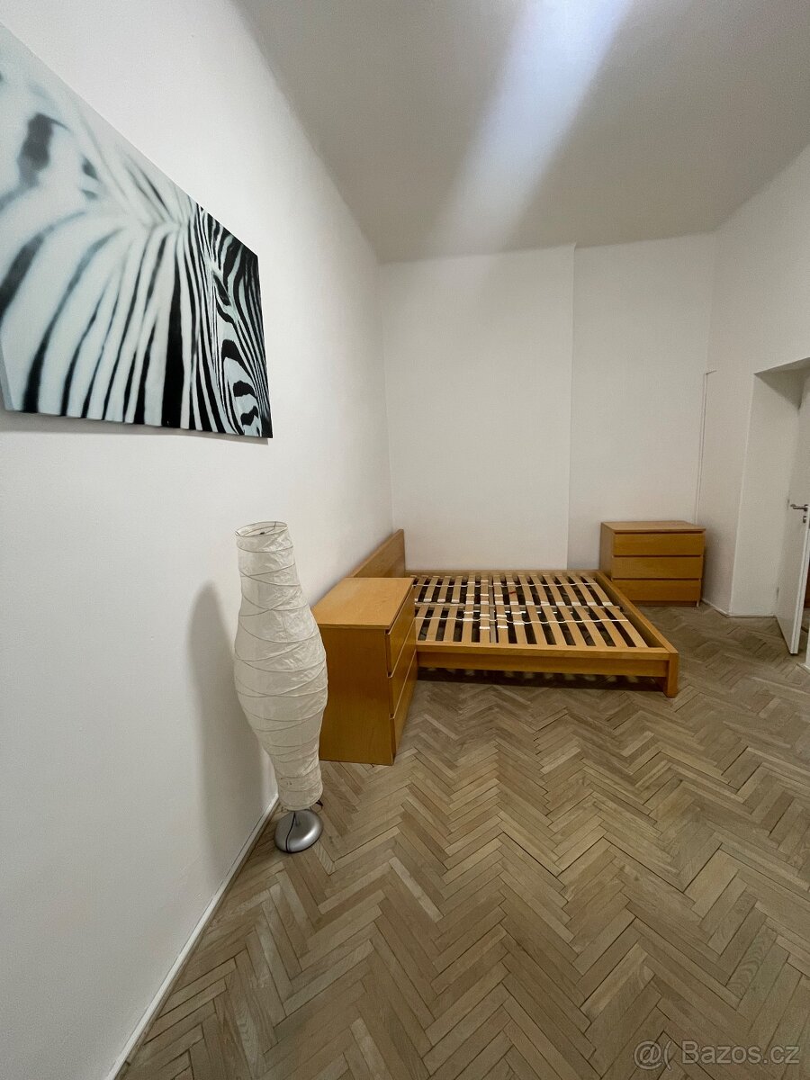 Byt k pronájmu 1+1 42 m2, ul.Krnovská