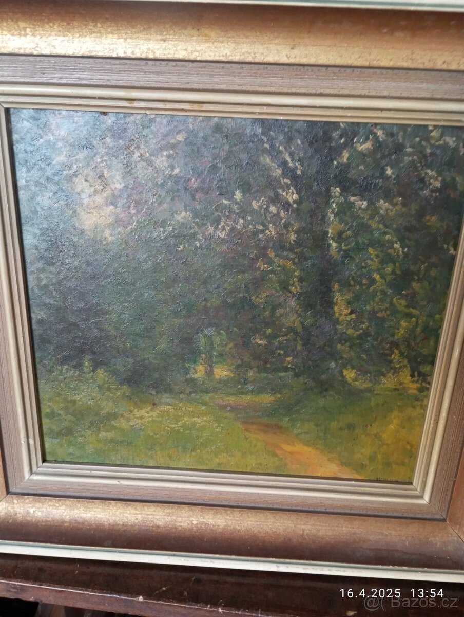 Josef Holub
