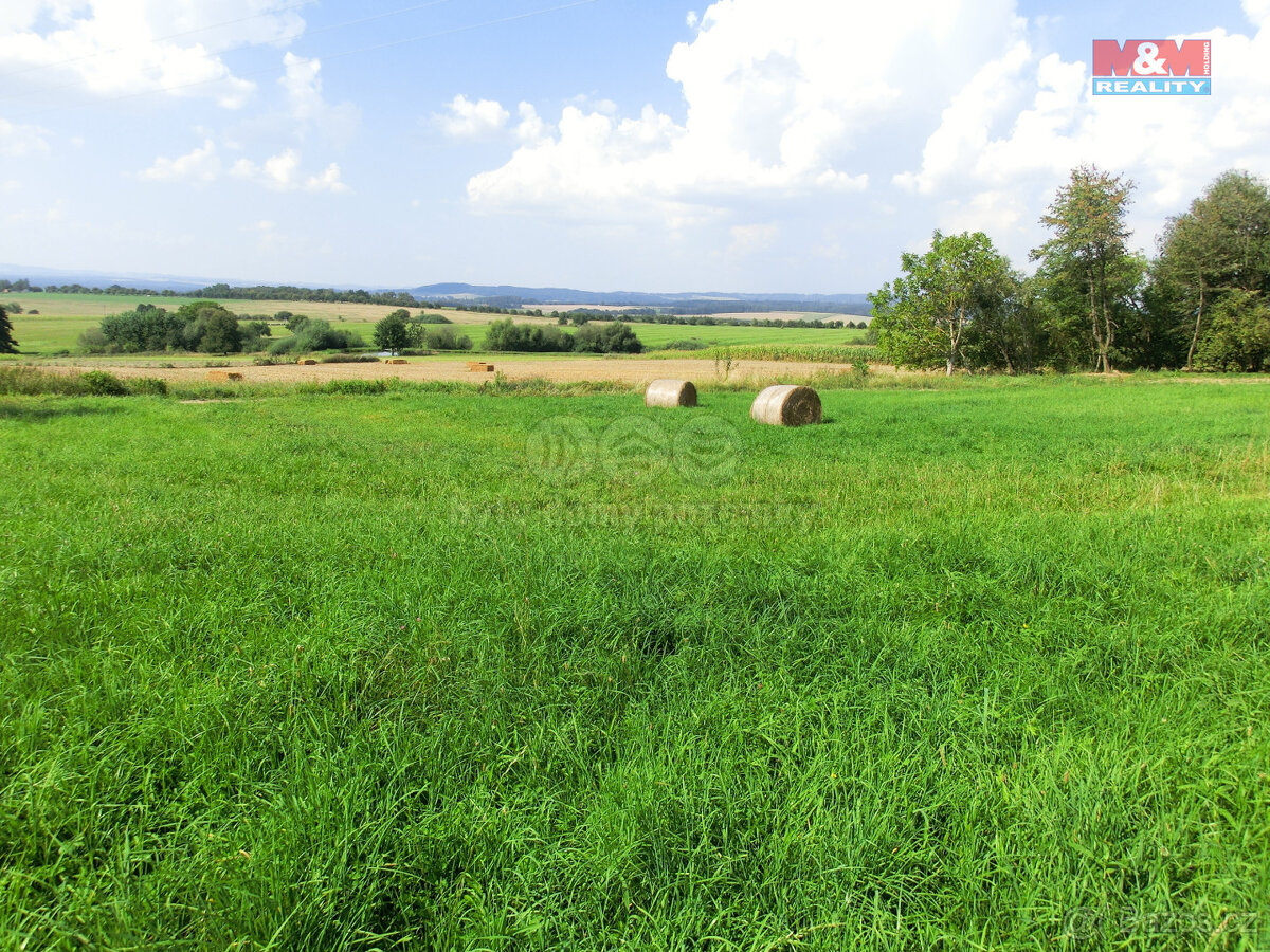 Prodej pozemku, 3885 m², Radenín