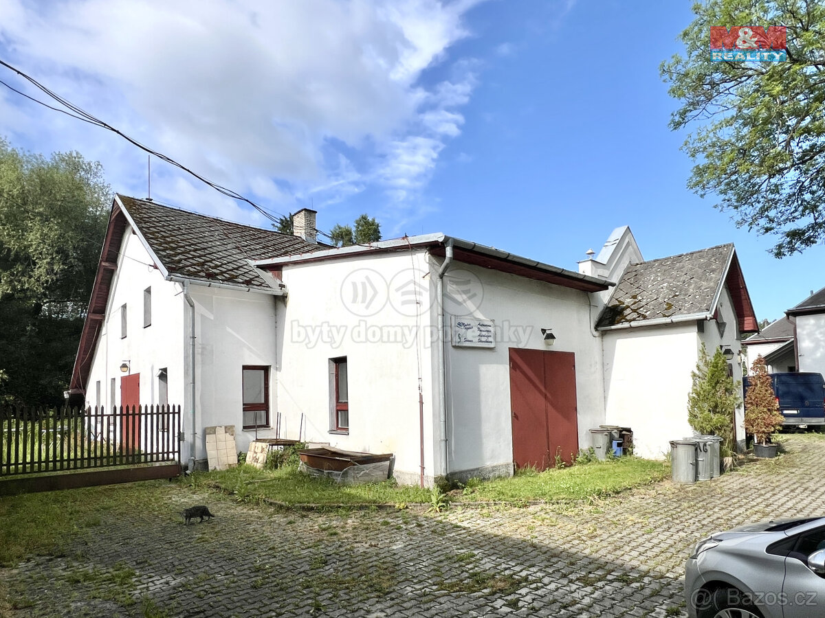 Prodej obchod a služby, 500 m², Budišov nad Budišovkou