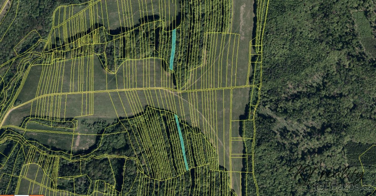 Prodej pozemek, les, CP 3317 m2, Hřivínův Újezd