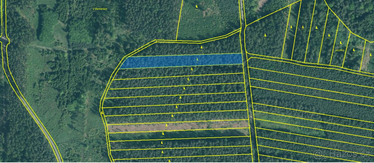 Prodej lesa u Bechyně 4751m2