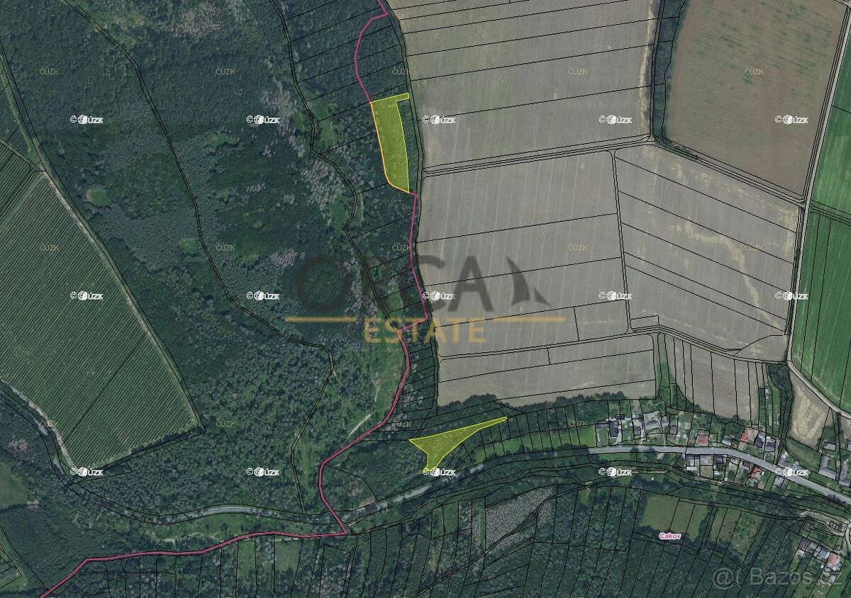 Aukce 0,74 ha lesa v k.ú. Cakov