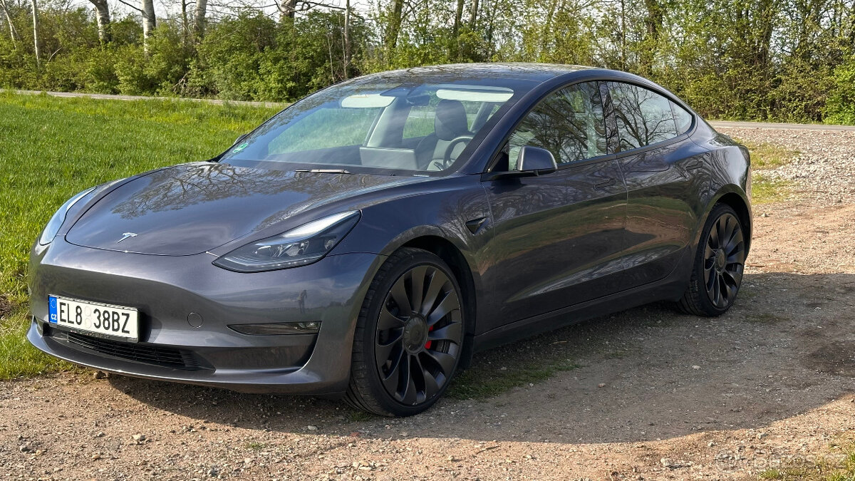 Tesla Model 3 Performance 11/2022 393kW RYZEN