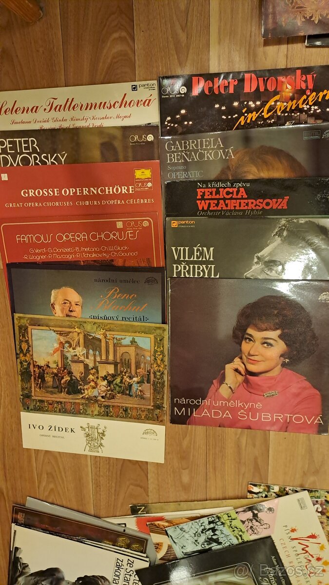 LP desky - operní a operetní zpěváci 11LP