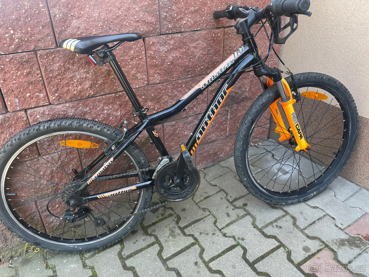 Divci kolo author 24"