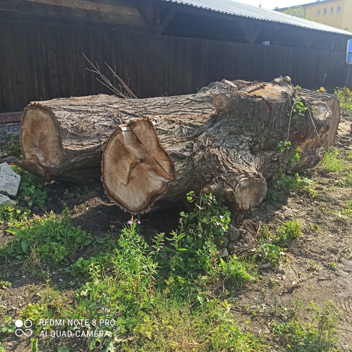 OSIKA