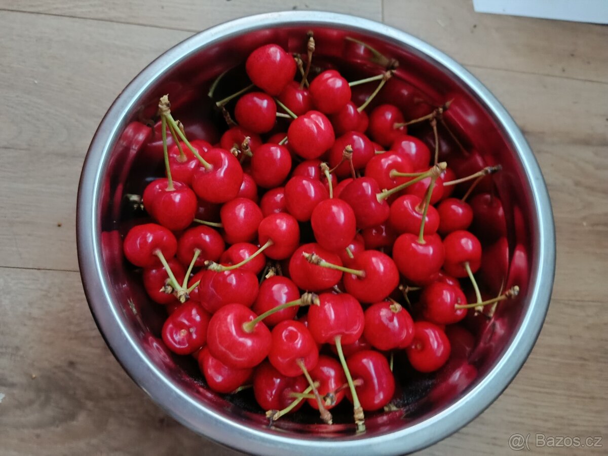 Třešně bez postřiku ze zahrádky