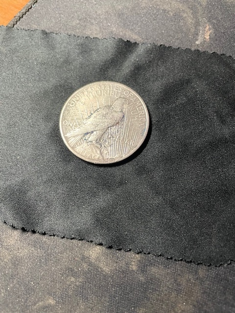 Peace Dollar 1