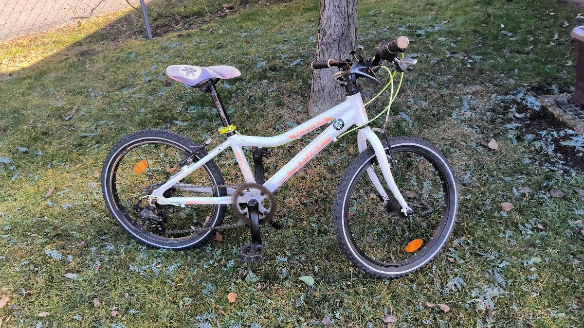 Prodám Core Nipper 20"