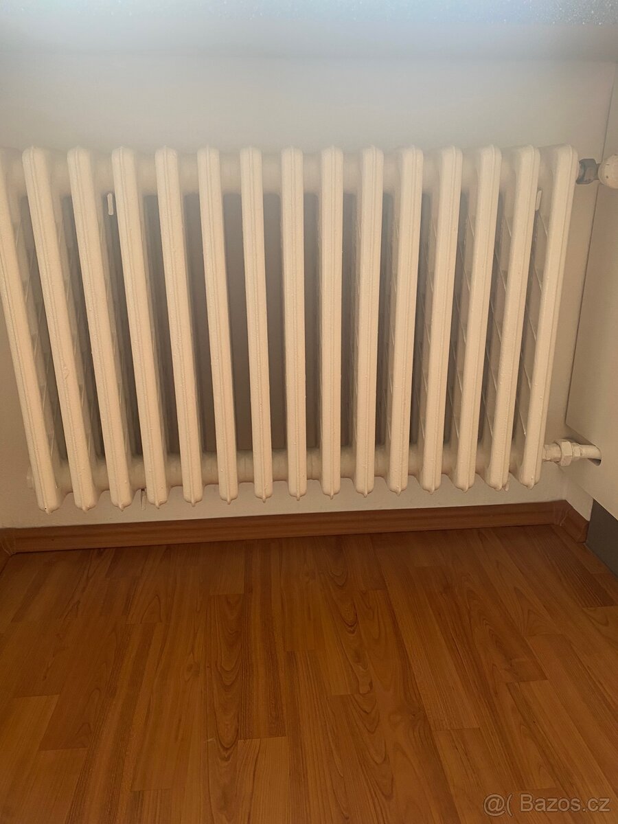 Litinové radialtory