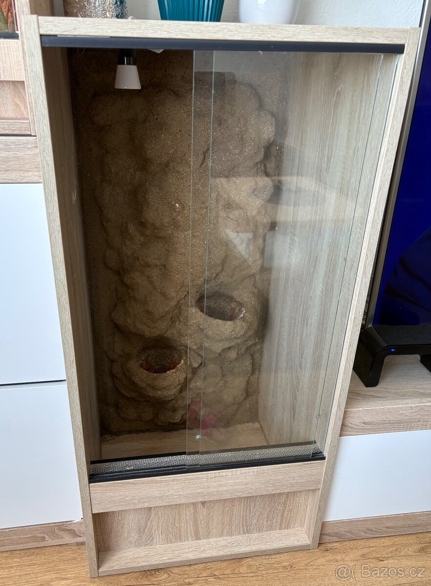 Terárium dub Sonoma