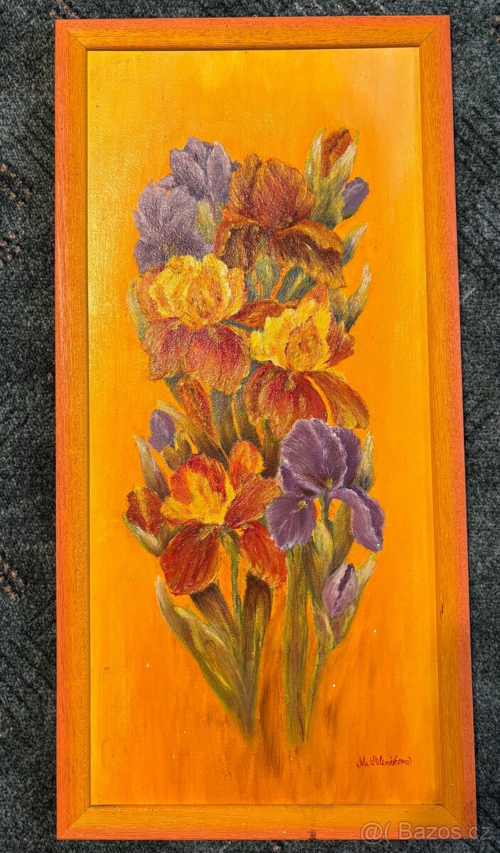 míla sklenářová-obrazy