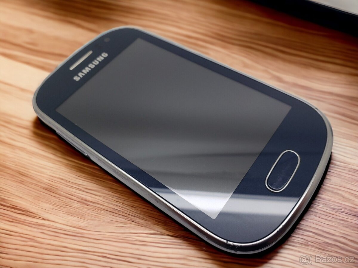 Samsung Galaxy Fame GT-S6810P