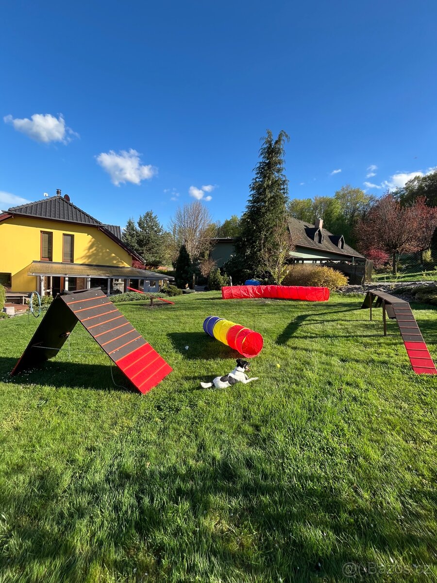 Agility překážky