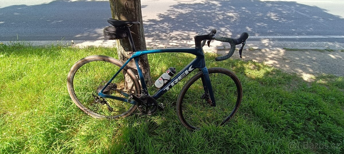 TREK DOMANE SL 5 56 2025