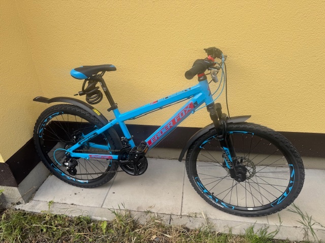 dětské kolo Leader Fox Dirt