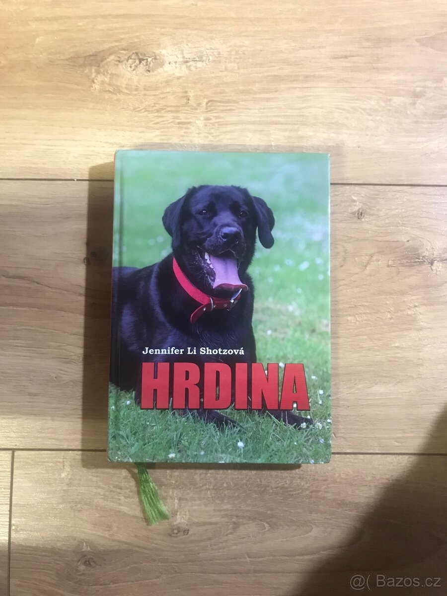 Hrdina