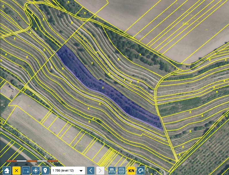 Prodej vinice Lovčičky   SLEVA 36 Kč/m2