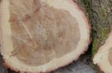 Tvrdé dřevo na topení