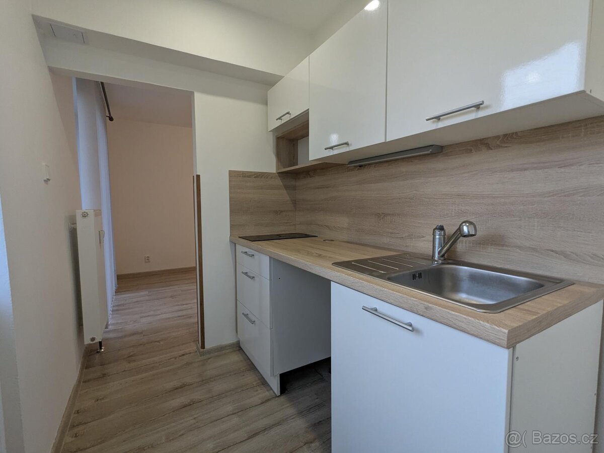 Pronájem bytu 2+kk, Okružní 269, Meziboří