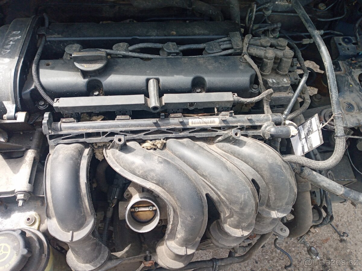 Ford Focus 1.6 motor SHDC