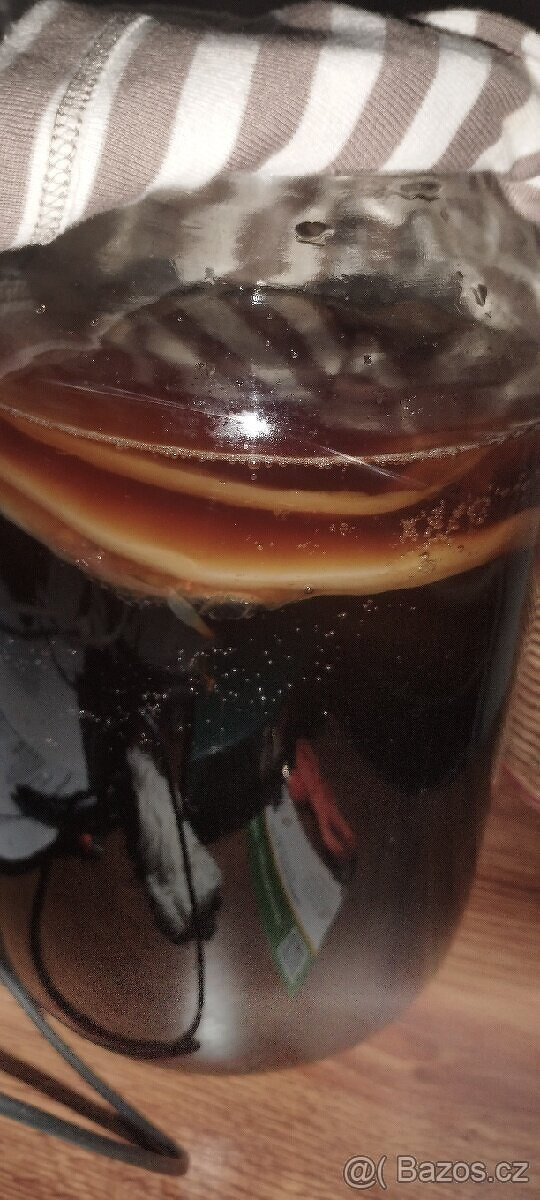 Kombucha, čajová houba - kombucha Vsetín