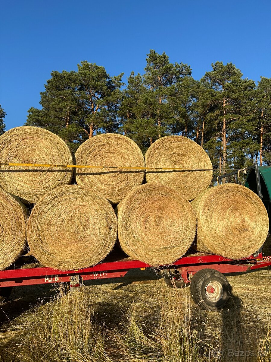Seno baliky 150cm