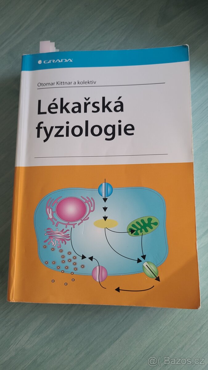 Lékařská fyziologie - Kittnar