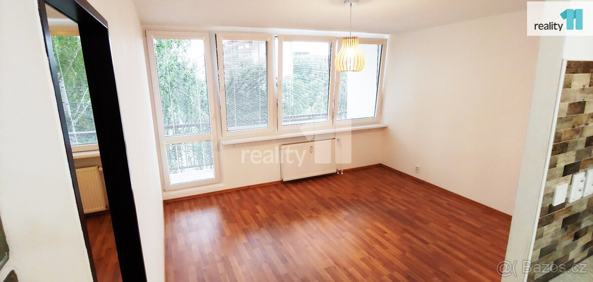 K pronájmu zrekonstruovaný byt 3+kk, 47 m2, Nekvasilova, Pra