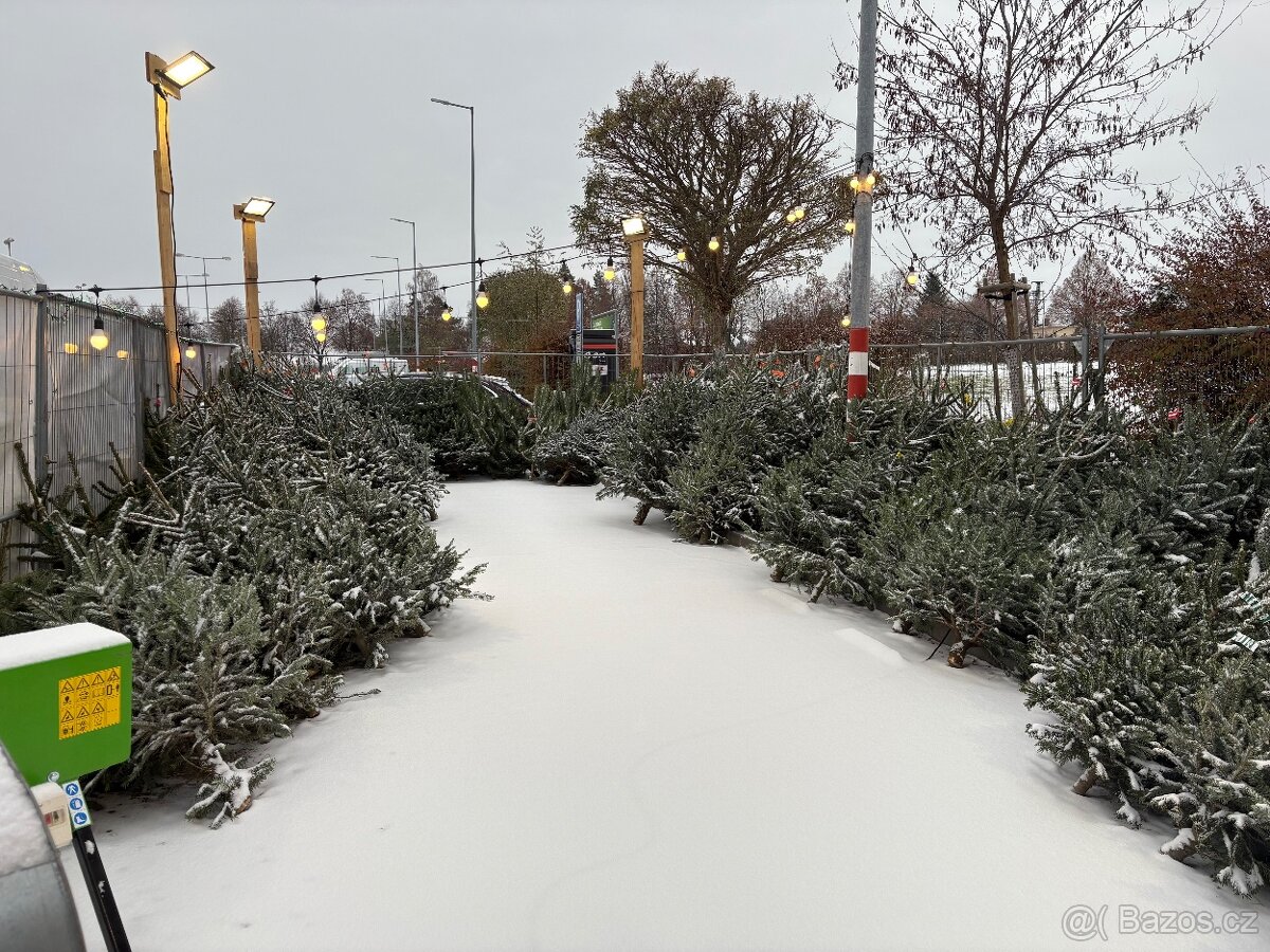 Prodej Vánočních stromků