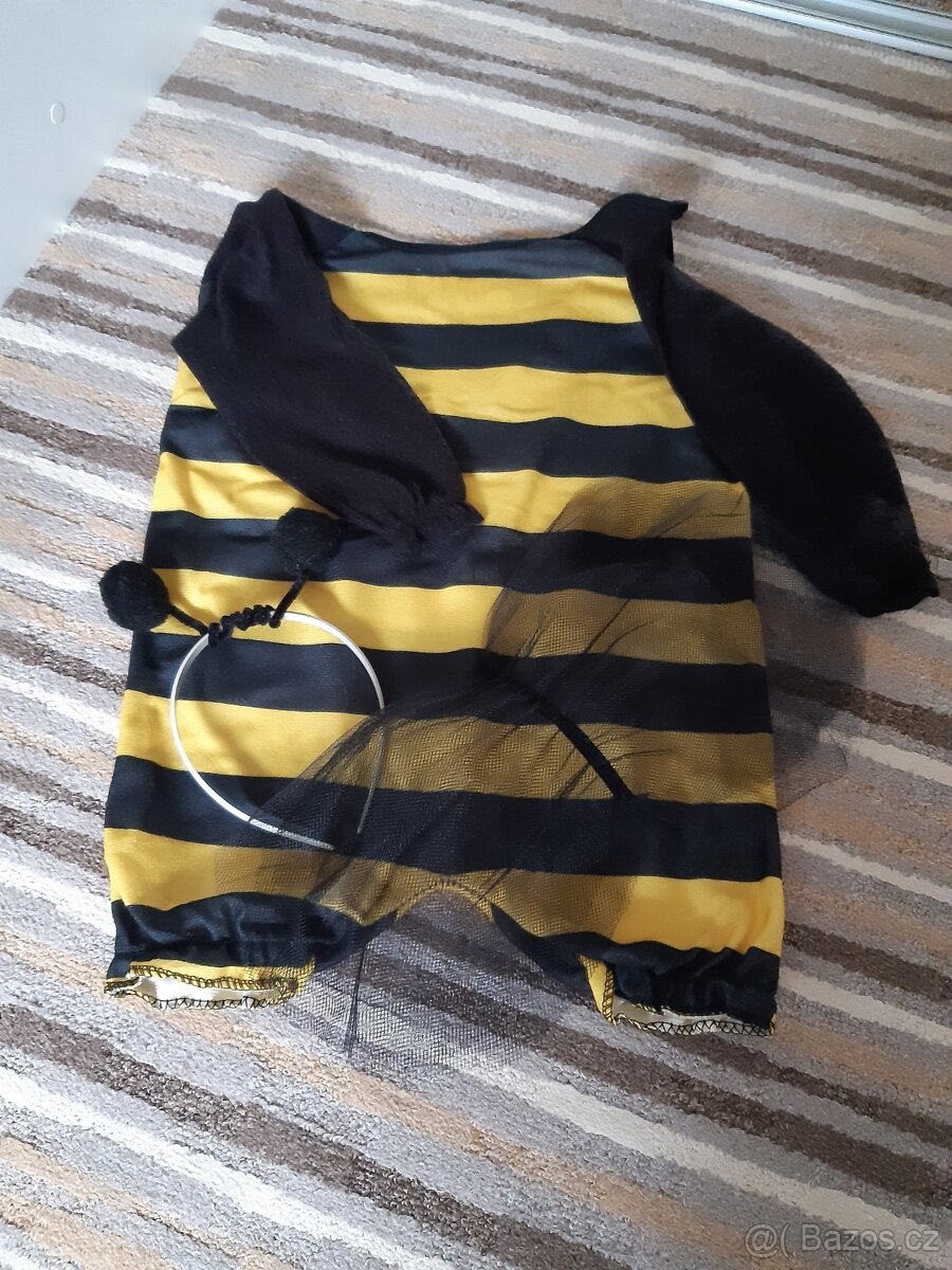 Karnevalový kostým