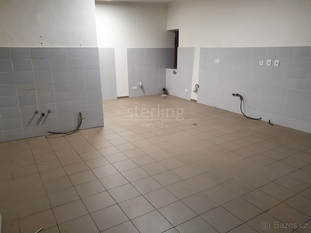 Pronájem komerčního objektu 96 m2, PV-Strančice, ul. Průmysl