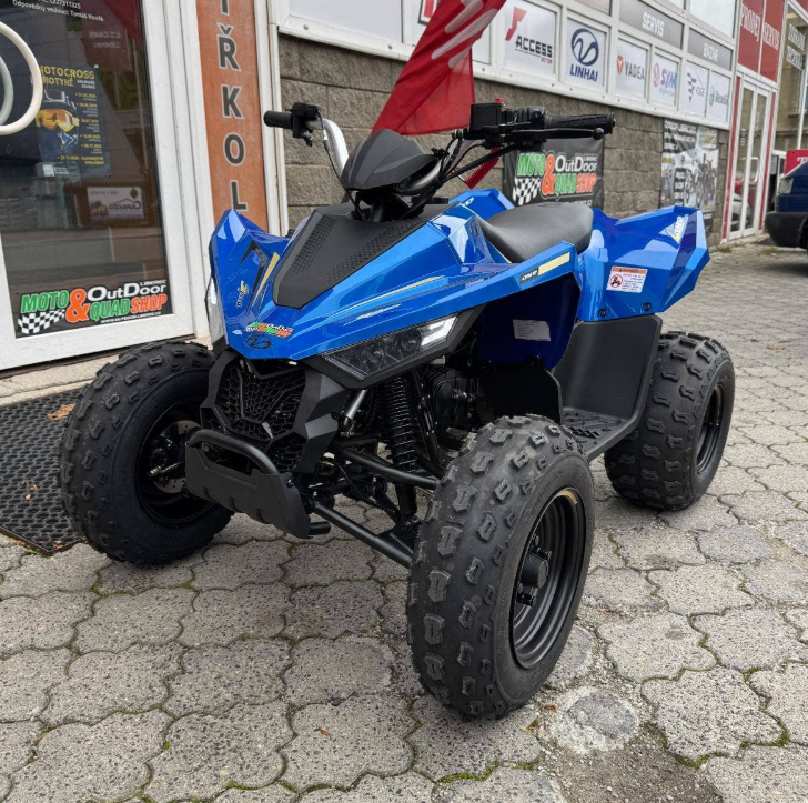 Linhai Dětská čtyřkolka ATV 110 Junior