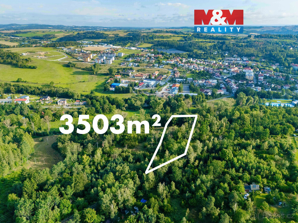 Prodej lesa ve Velkém Meziříčí