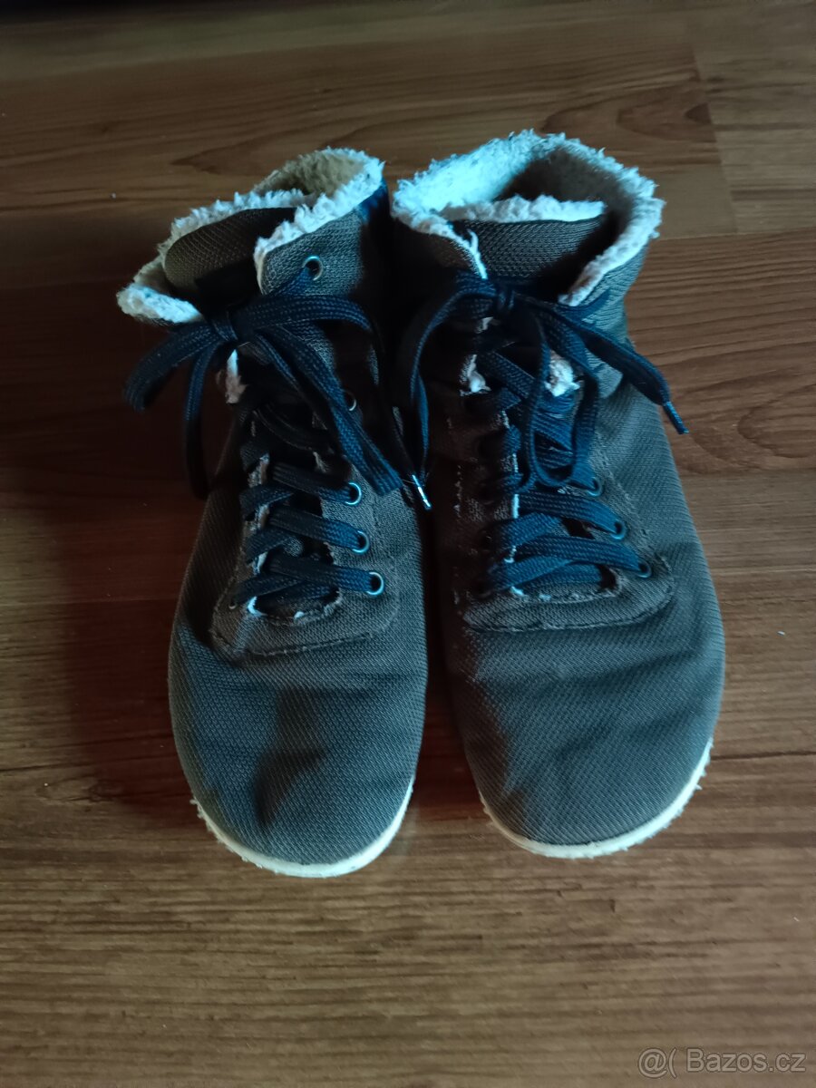 Barefoot Leguano cosmo 40