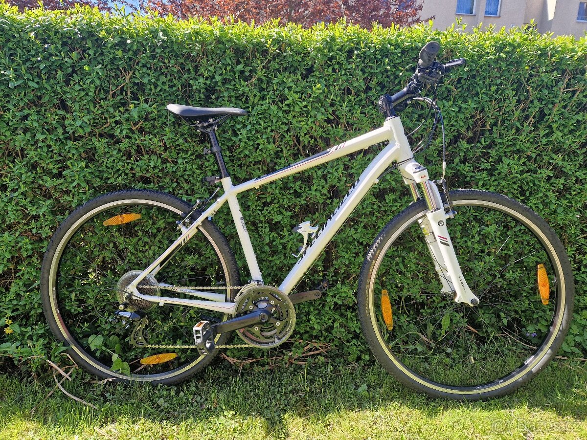 Specialized Ariel